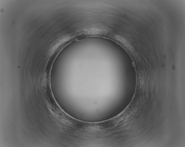 X0000062910583200601181221