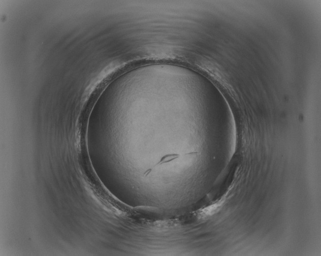 X0000062910584200601181221