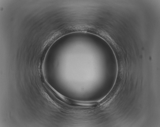 X0000062910585200601181221