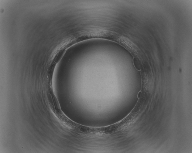 X0000062910586200601181221