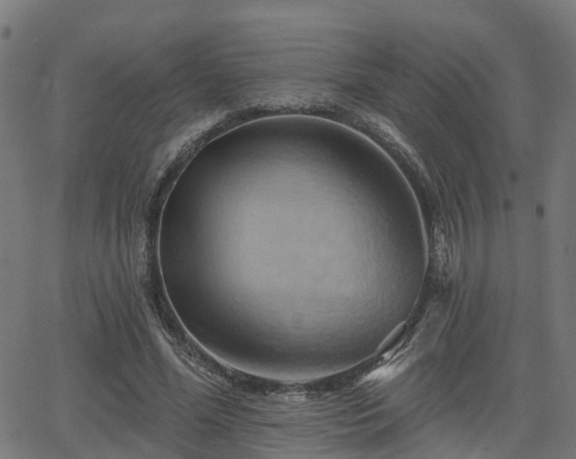 X0000062910588200601181221