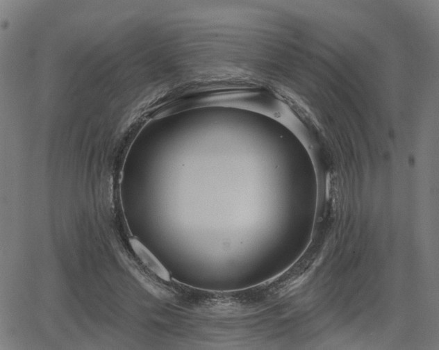 X0000062910589200601181221