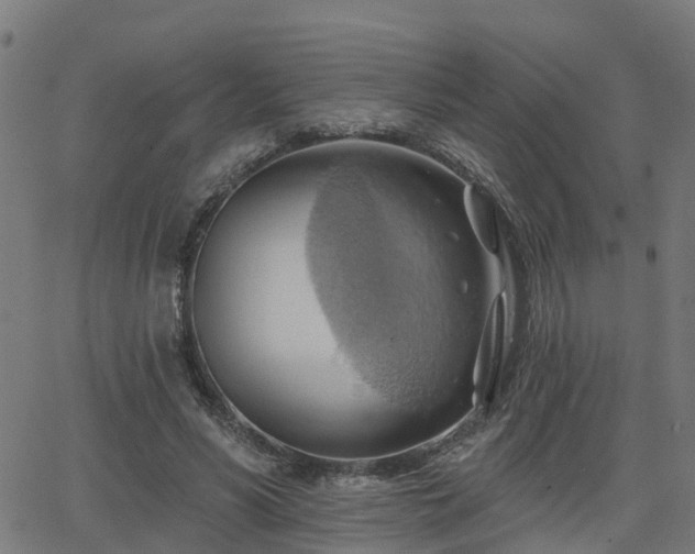 X0000062910590200601181221