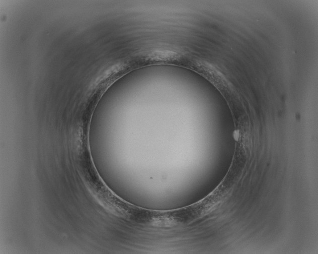 X0000062910591200601181221