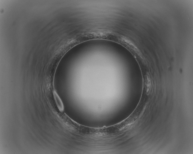 X0000062910593200601181221