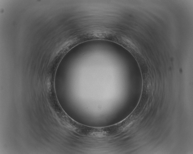 X0000062910595200601181221