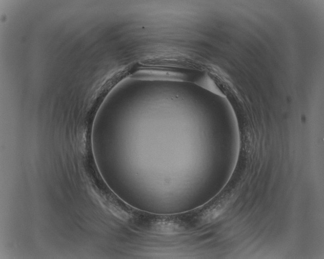 X0000062910596200601181221