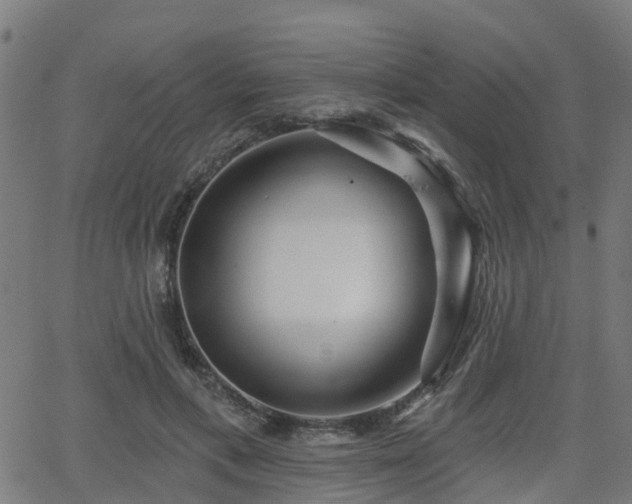 X0000062910597200601181221