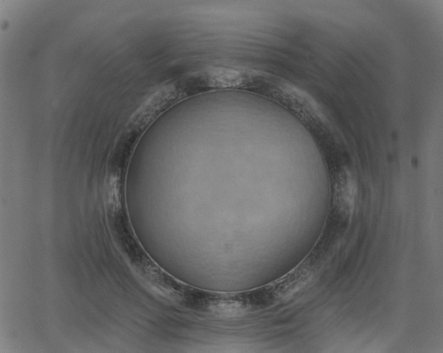 X0000062910598200601181221