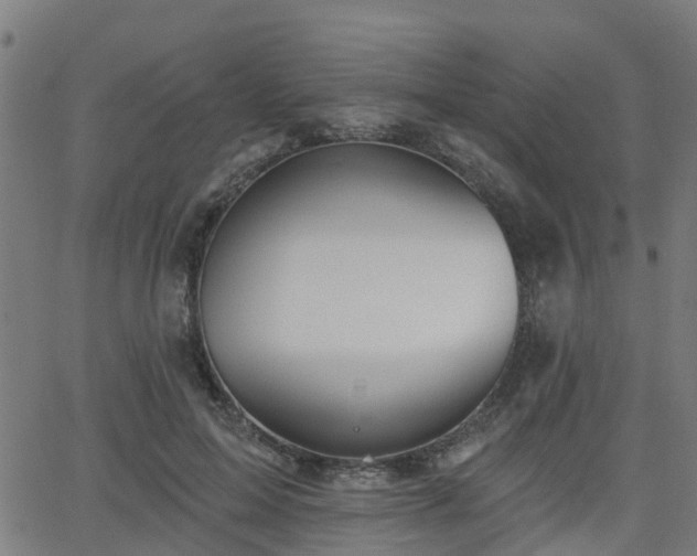 X0000062910599200601181221