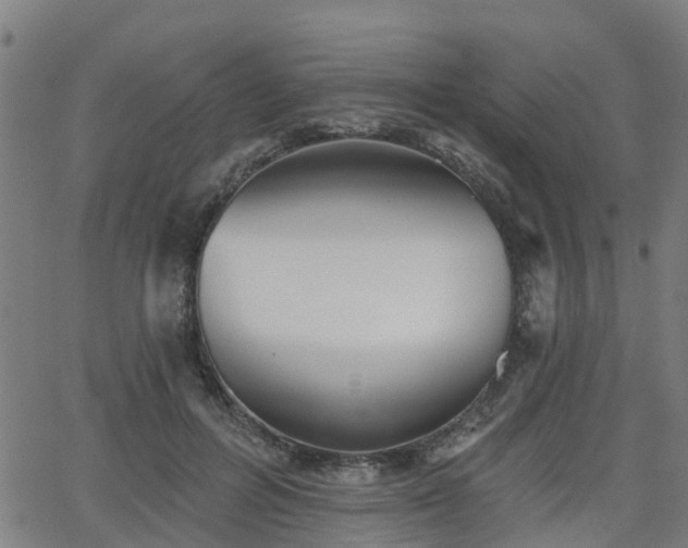 X0000062910600200601181221