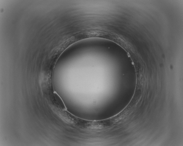 X0000062910601200601181221