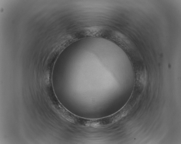 X0000062910602200601181221