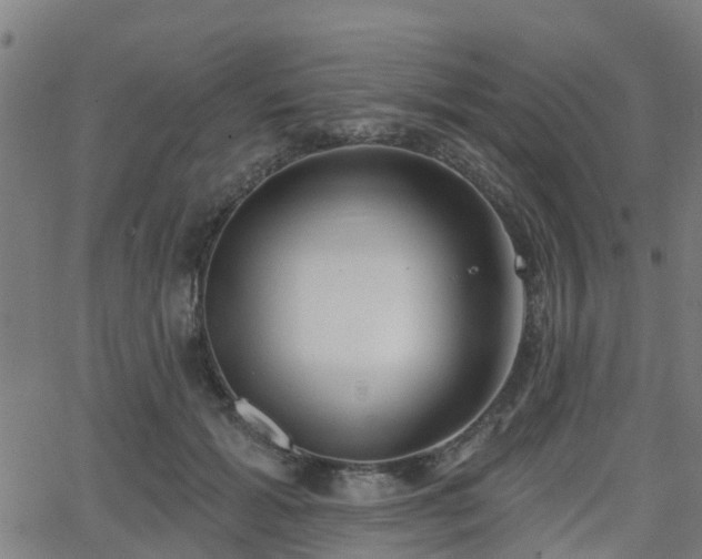 X0000062910605200601181221