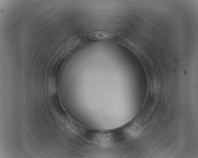 X0000062910606200601181221