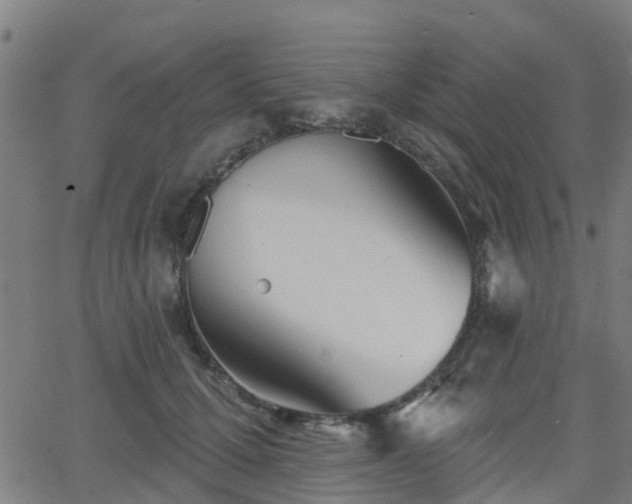 X0000062910607200601181221