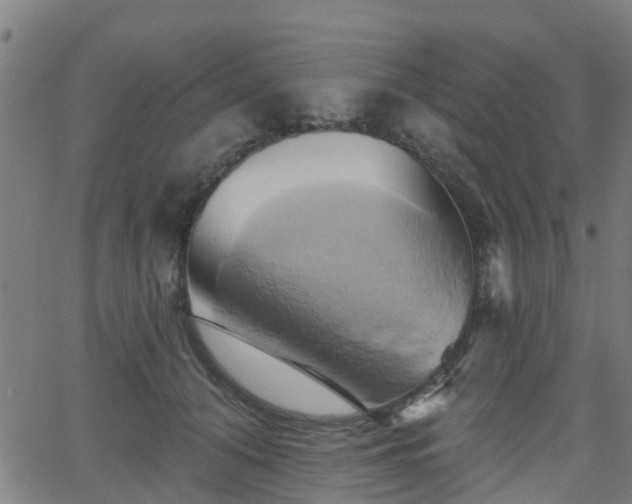 X0000062910608200601181221