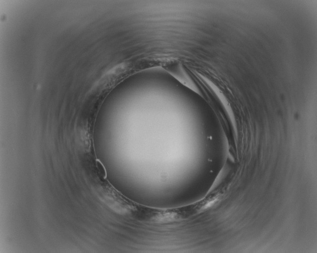 X0000062910609200601181221