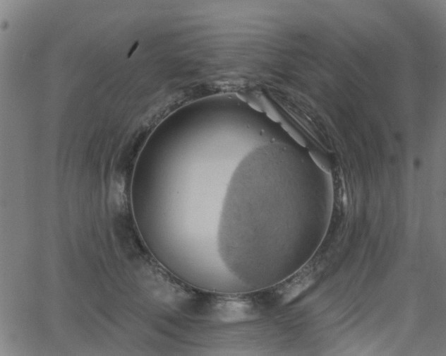 X0000062910610200601181221