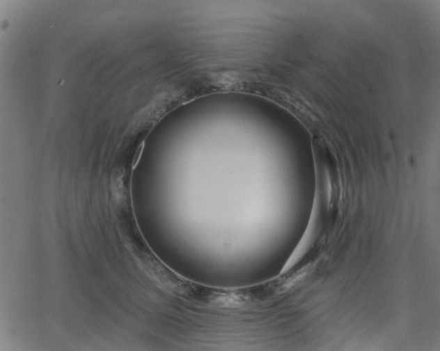 X0000062910611200601181221