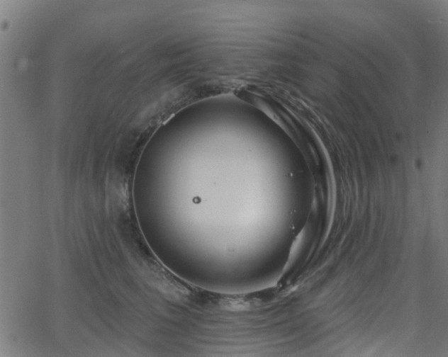 X0000062910613200601181221