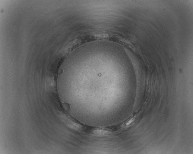 X0000062910614200601181221