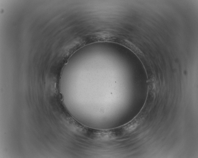 X0000062910615200601181221