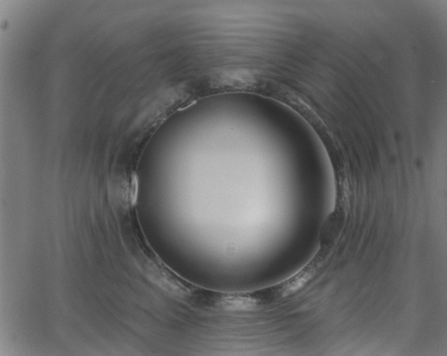 X0000062910617200601181221