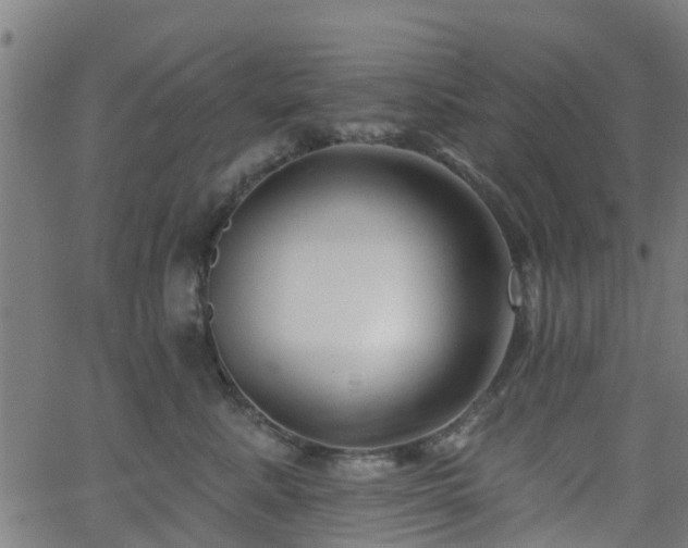 X0000062910619200601181221