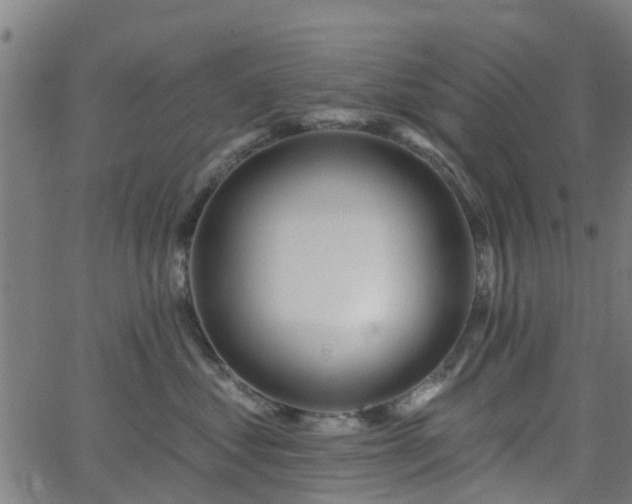 X0000062910621200601181221