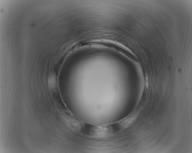 X0000062910623200601181221