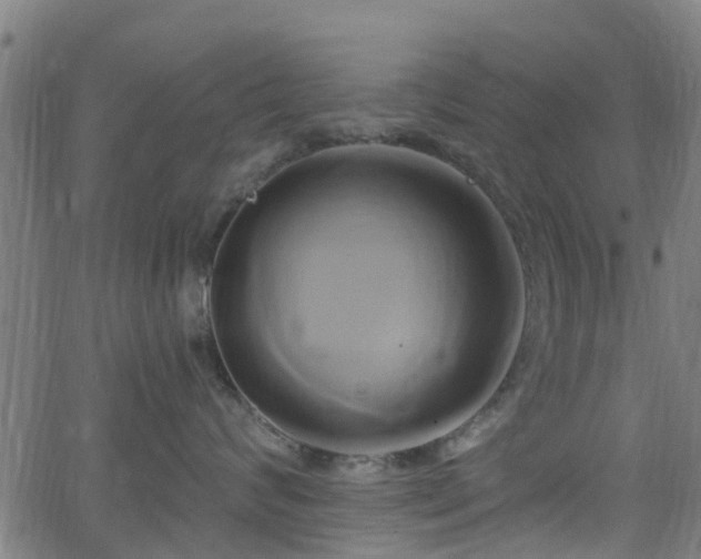 X0000062910624200601181221