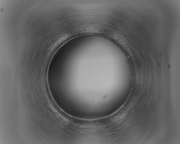 X0000062910625200601181220