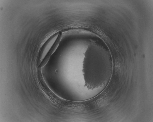 X0000062910626200601181220