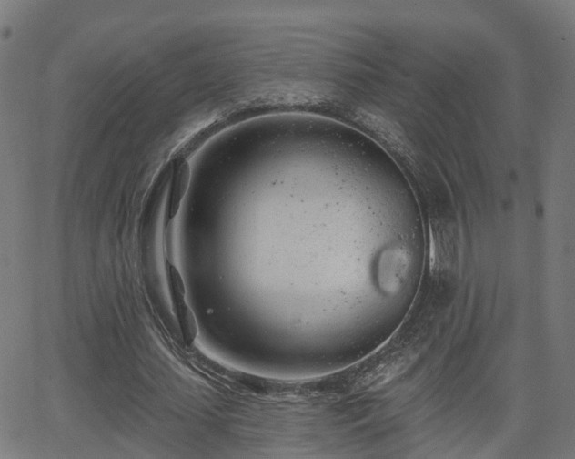 X0000062910627200601181220