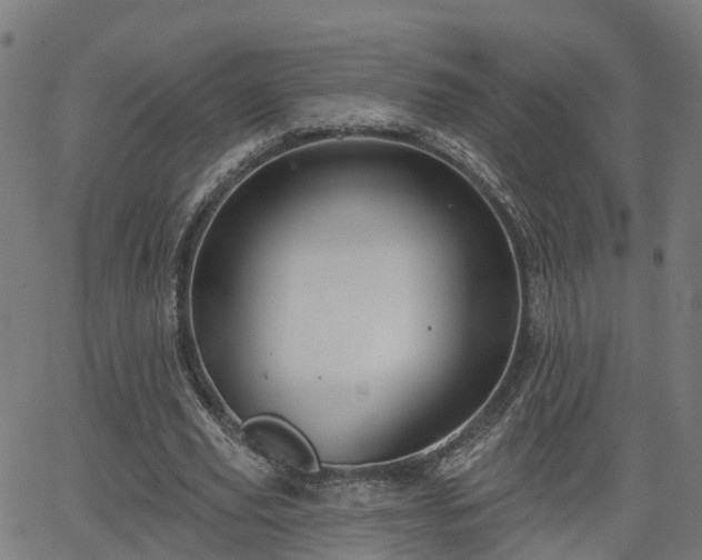 X0000062910629200601181220