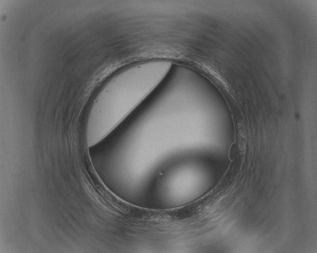 X0000062910631200601181220