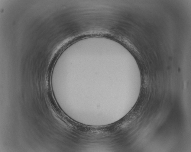 X0000062910632200601181220