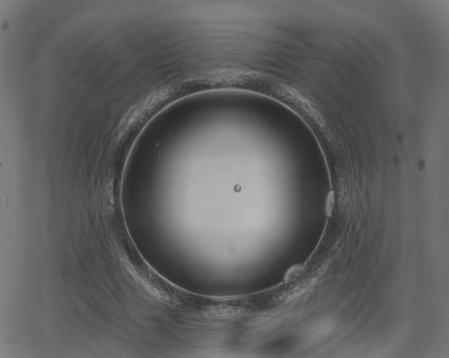 X0000062910633200601181220