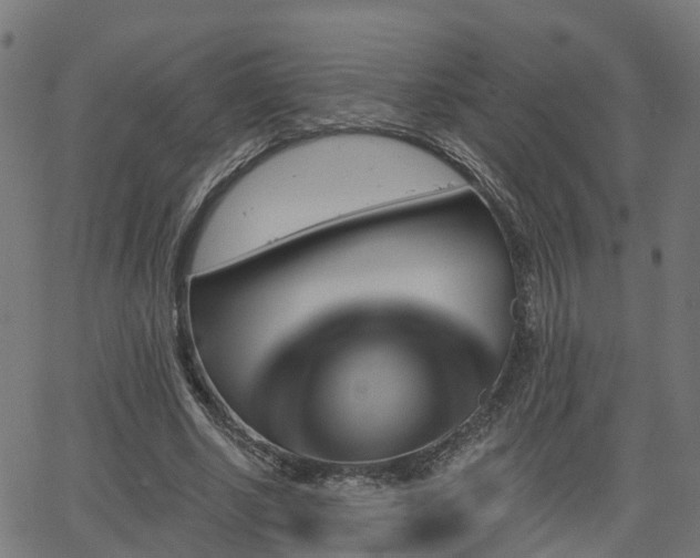 X0000062910634200601181220