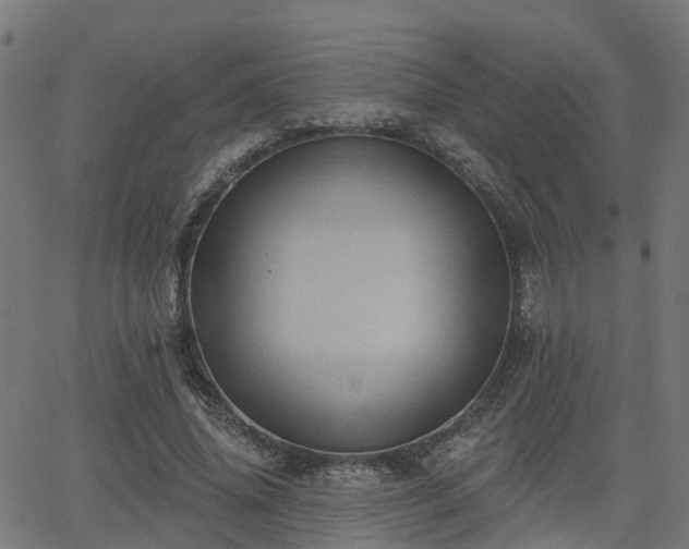 X0000062910636200601181220