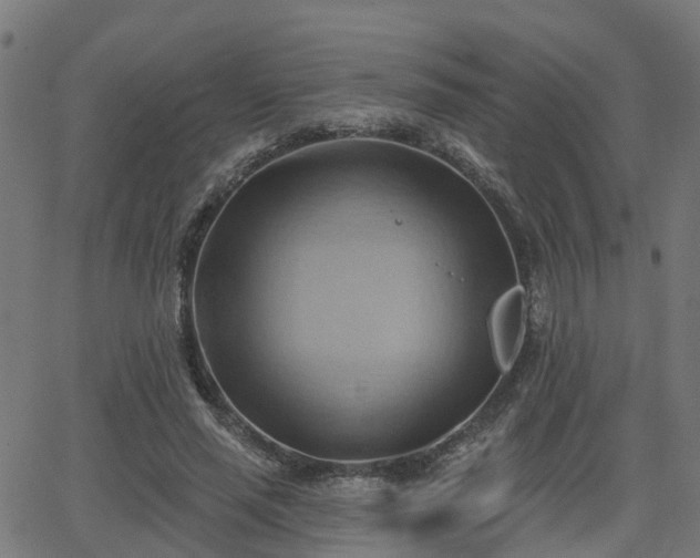 X0000062910637200601181220