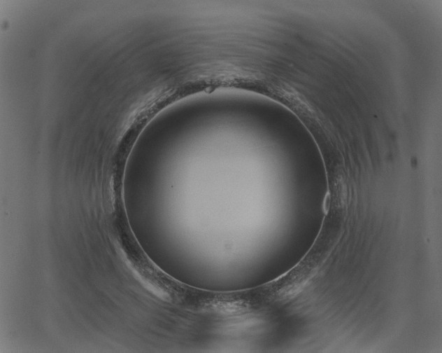 X0000062910638200601181220