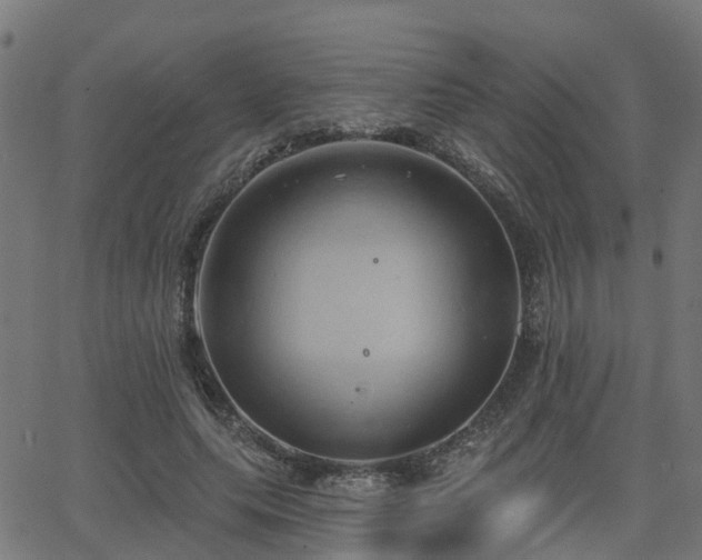 X0000062910639200601181220