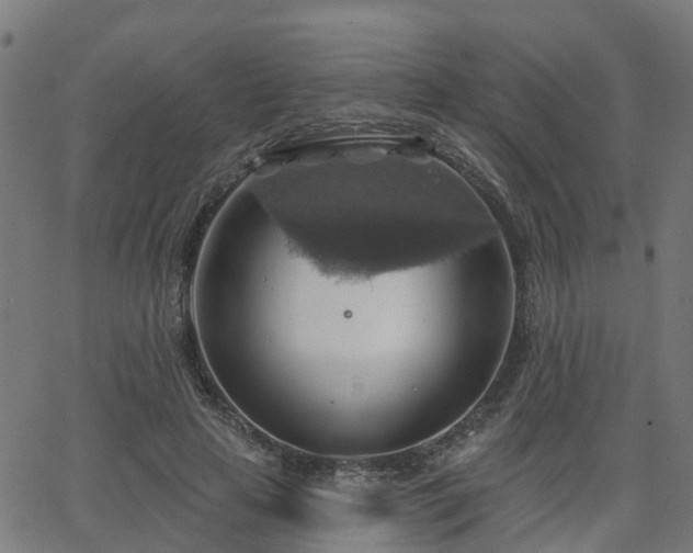 X0000062910641200601181220