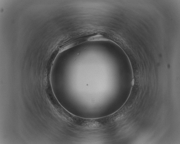 X0000062910642200601181220