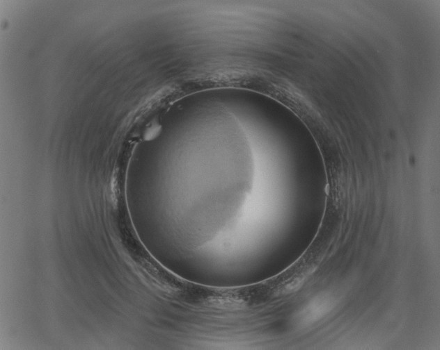 X0000062910644200601181220