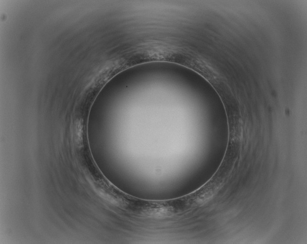 X0000062910646200601181220