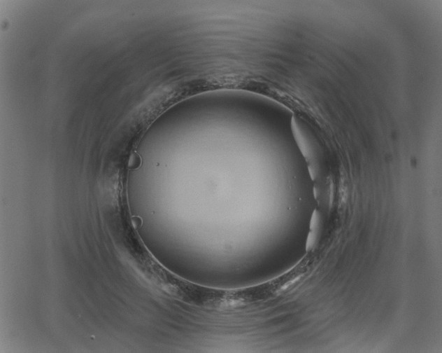 X0000062910647200601181220