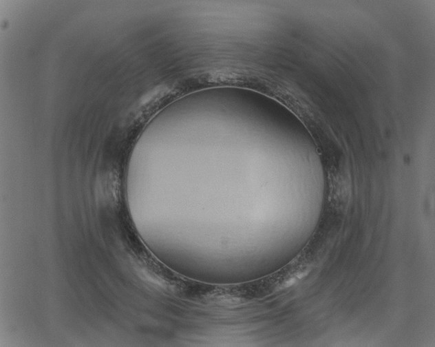 X0000062910648200601181220